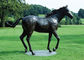 Grande sculpture en bronze en cheval, conception en bronze extérieure d'antiquité de cheval de statues fournisseur