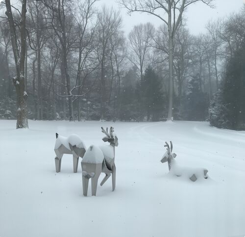 Derniers blogs de l'entreprise sur Le troupeau cristallin: où la nature rencontre la géométrie