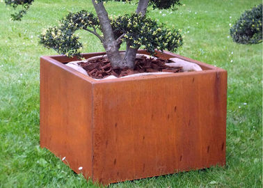 Un bon prix. Enfermez dans une boîte le planteur en acier de Corten de forme pour extérieur/jardin/décoration publique en ligne