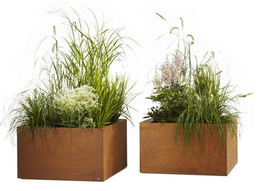 Un bon prix. Grand matériel d'acier de Corten de pots de fleur de planteurs contemporains en métal en ligne