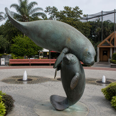 Un bon prix. Grande sculpture en bronze de la mère et du bébé du lamantine Animaux marins Jardin côtier Statue d'art en plein air en ligne
